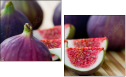 52014179