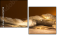 52670728