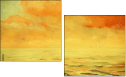 53049559