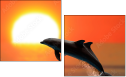 53692721