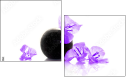 54154961