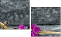 54405316