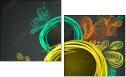 54482937