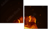 54582803