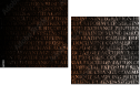 54969981