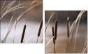 55661015