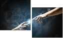 55886651