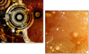 5648461