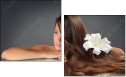 56517221