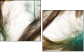 56562123