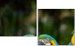 56795972