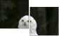 57060206