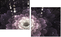 57185040