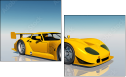 57495321