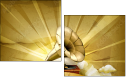 57686954