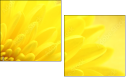 57915870