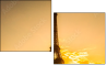 58384995