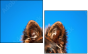 58783058