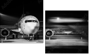 59420364