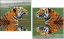 59476374