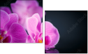59923716