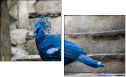 60046896