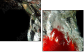 60316396