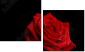 60429320
