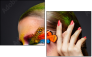 60857944