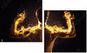 61751589