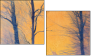 61864050