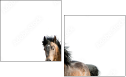 62618176