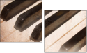 63329825