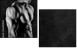 63490164