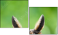 63805438
