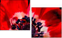 64202605