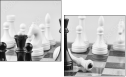 64265081
