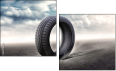 65476081