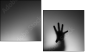 65905170