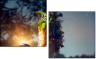65958619