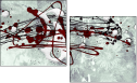 66720090