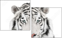 67172414