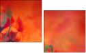 67251094