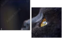 67261784