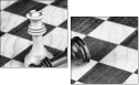 67855650
