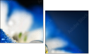 68169392