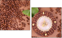 68206263