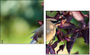 68702565