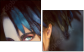 68796716