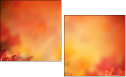 68917017